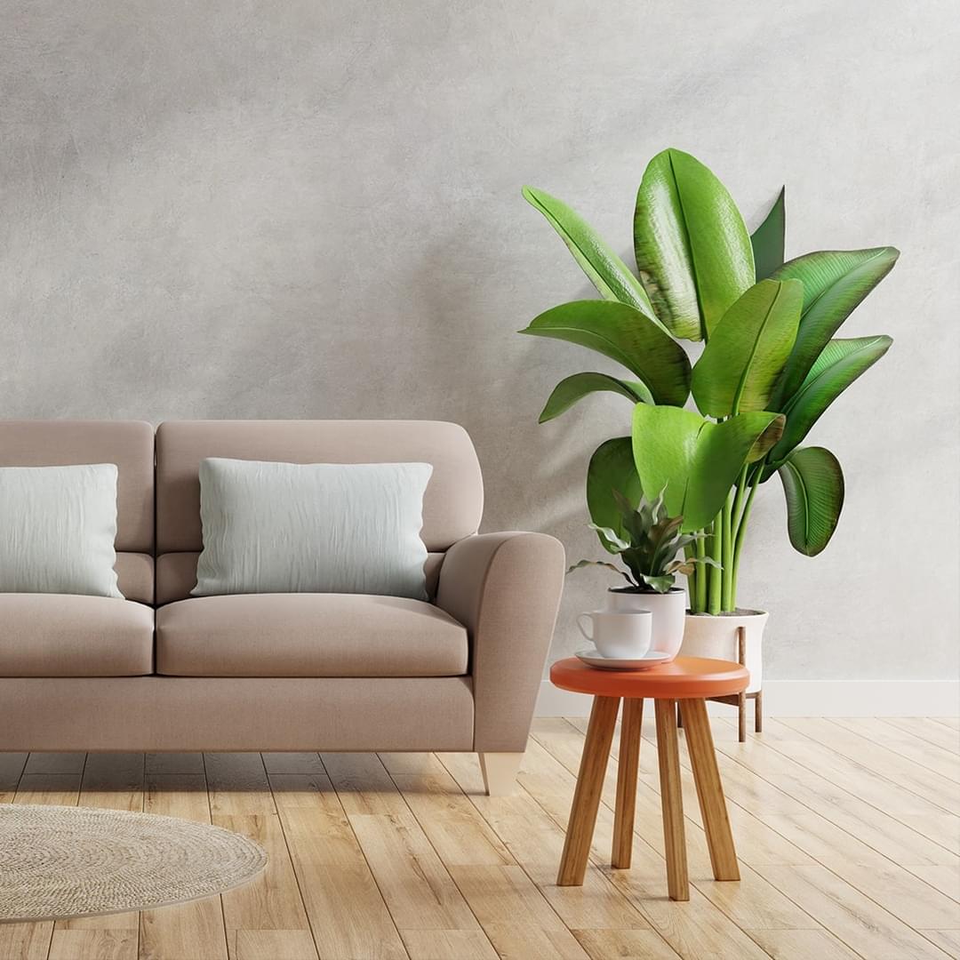 Vide appartement complet et professionnel